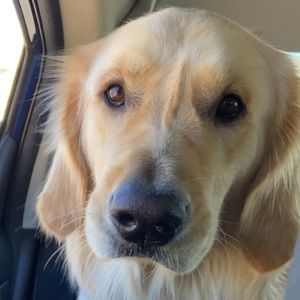 Meet your Posher, Debra